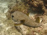 Curacao 04-12 188